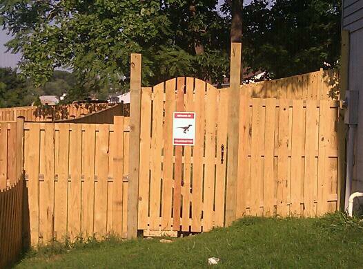 Beware of Velociraptor sign on my fence